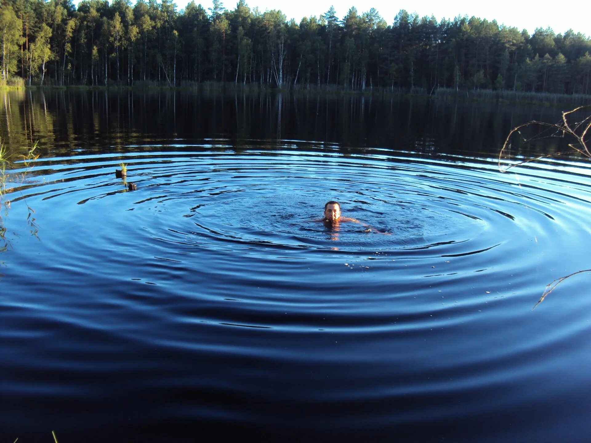 Какое озеро без дна. Смоленская область Семлевское озеро. Семлевское озеро в Смоленской. Озеро Тыклинское. Тохколодское озеро.