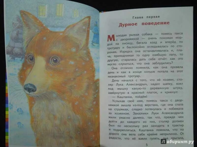 П. День начался с того что хозяин каштанки. Иллюстрации к рассказу каштанка а. Чехов каштанка иллюстрации. Чехов а.