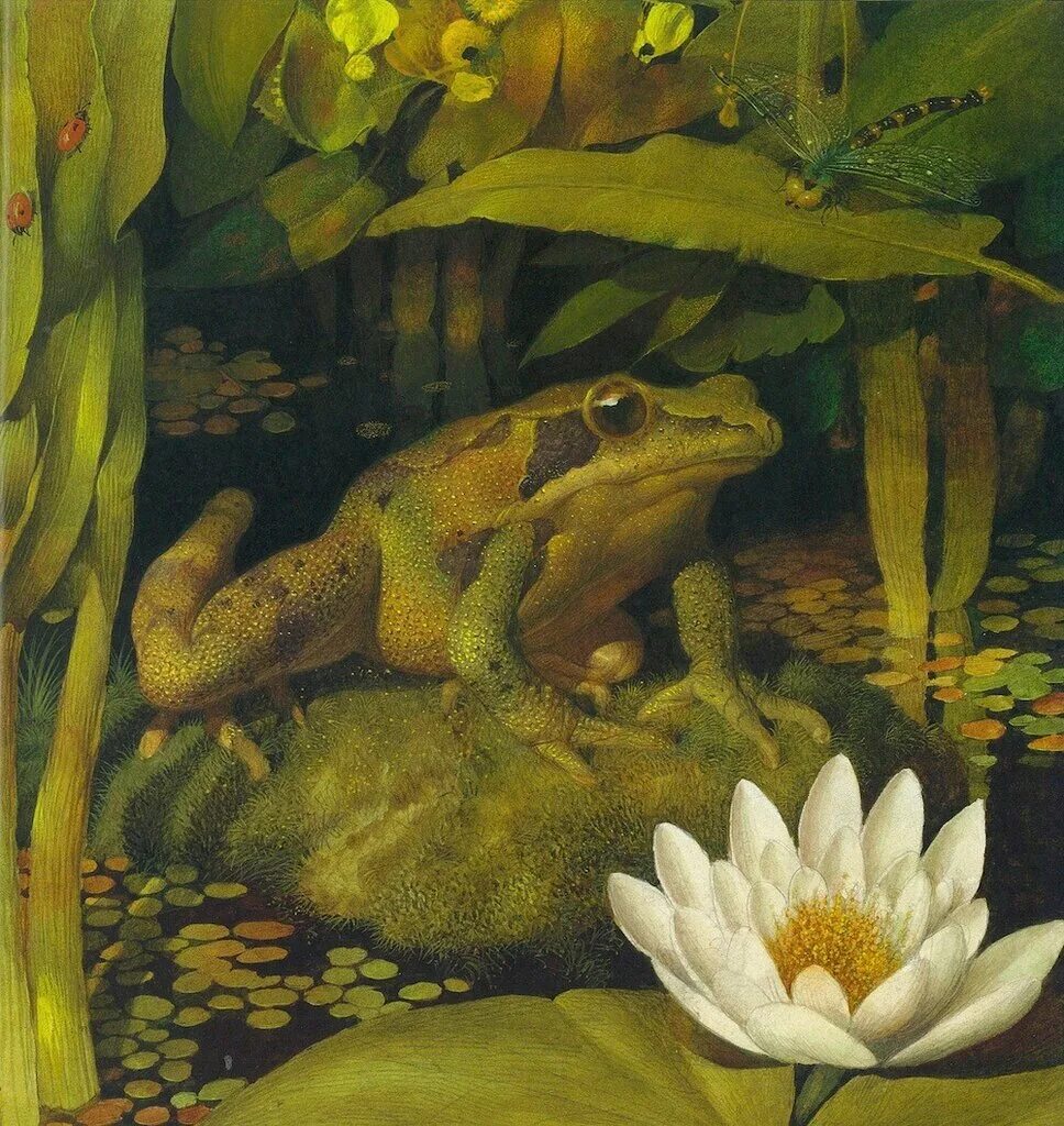лягушки картины художников