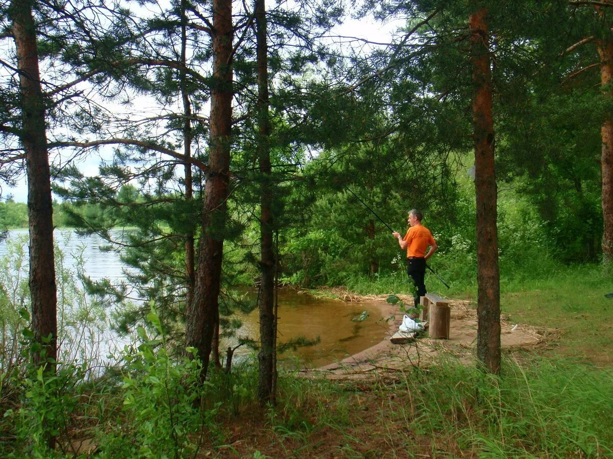 Озеро селигер рыбалка. Белое озеро Селигер. Озеро белое на Селигере рыбалка. Селигер оз белое.