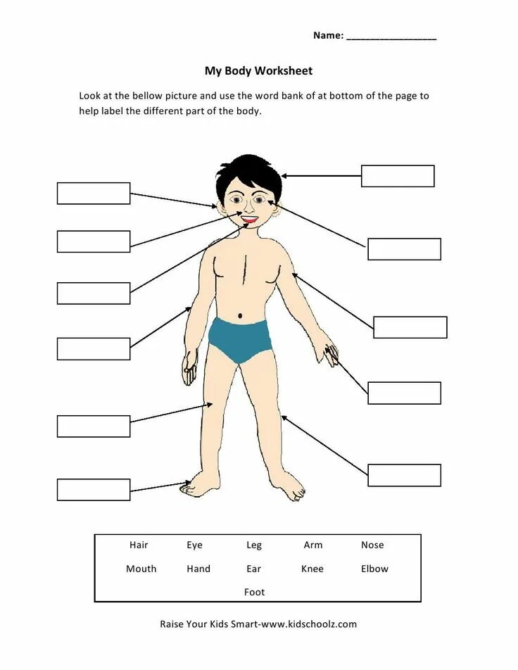 Части тела человека. Изучение частей тела. Части тела Worksheets. Части тела человека на англ. In this part of your