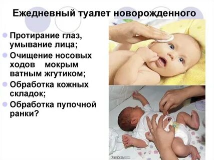 Ежедневный туалет