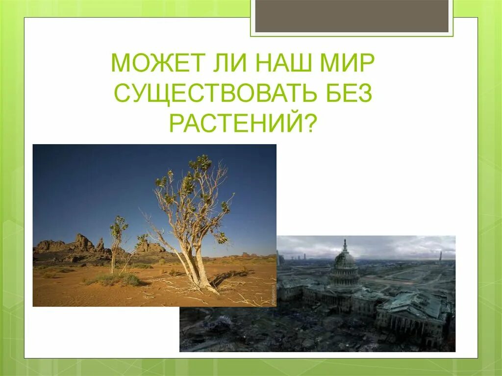 Планета без растений. Растение без. Жизнь с растениями и без Планета. Может ли человек жить без растений.