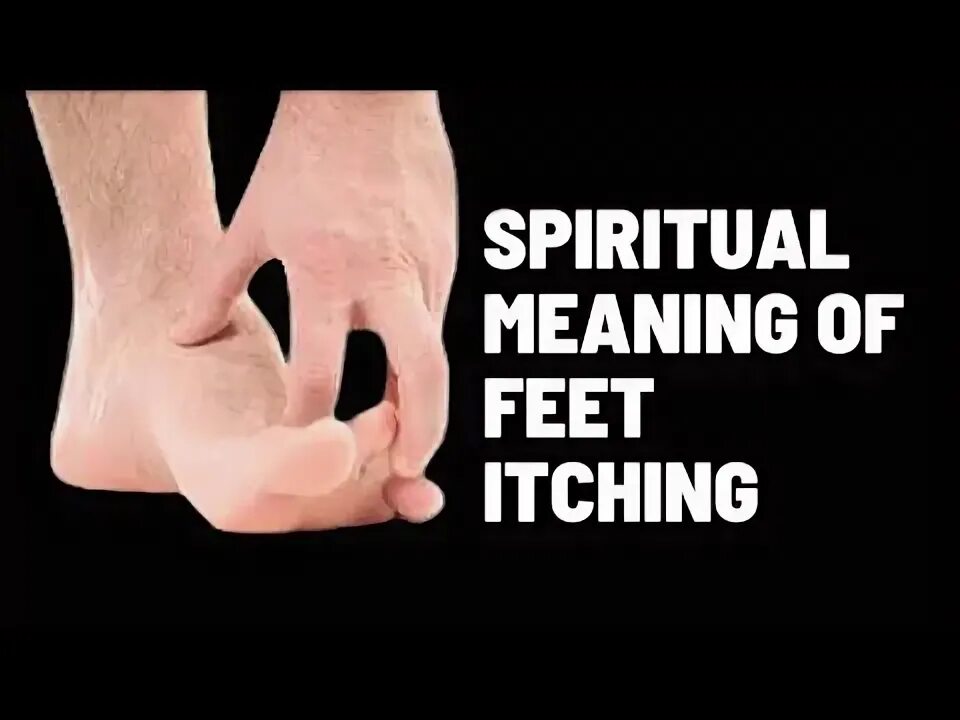 What an odd thing to say. Foot is meaning. Foot shape. Foot is meaning. Types of feet.