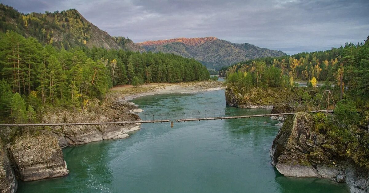 Горно алтайск июль. Горно Алтайск река Катунь. Бирюзовая Катунь Чемал. Манжерок горный Алтай Катунь. Березовая Катунь горный Алтай.