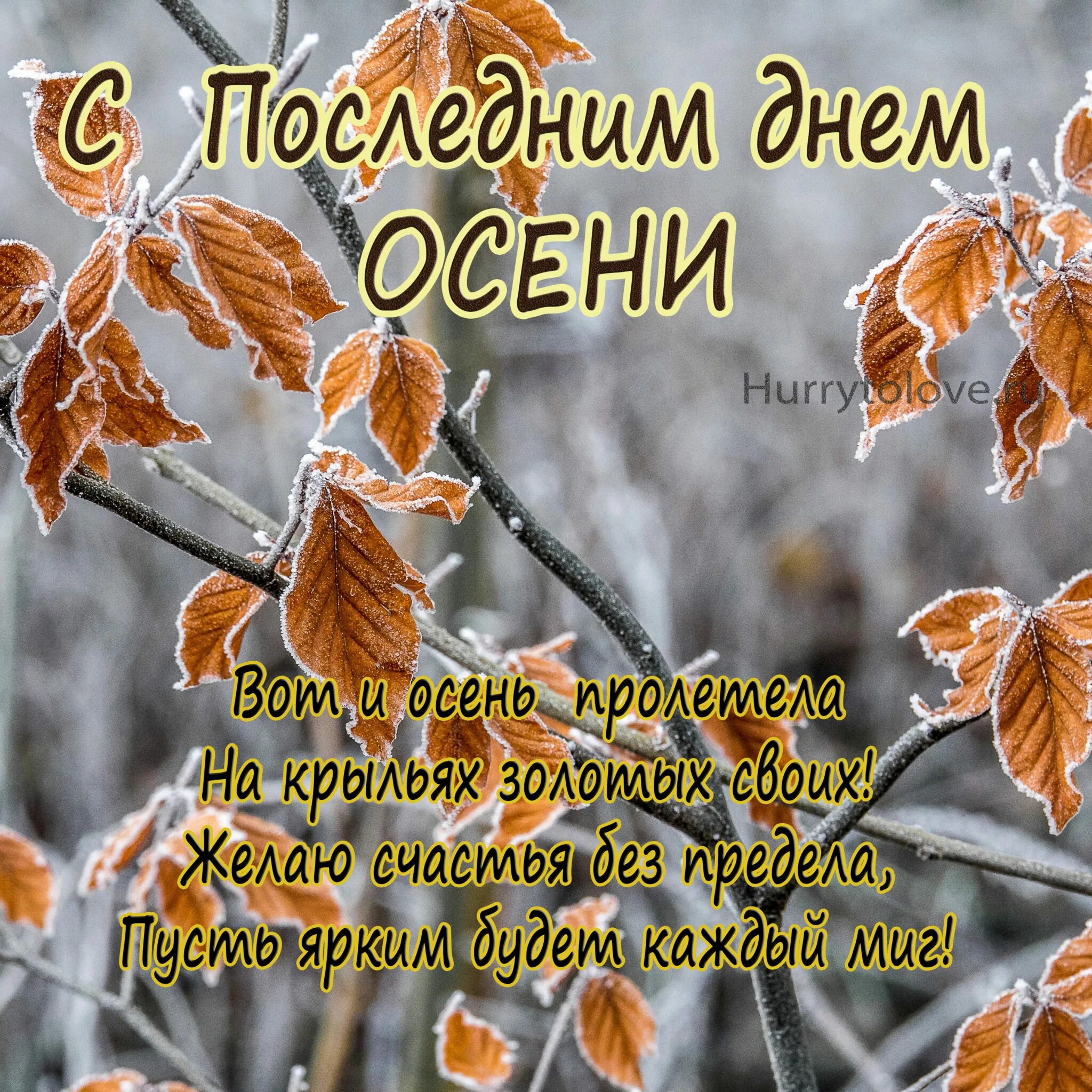 С последним днем осени картинки. С последним днем осени. Последний день осени картинки. Открытки с последним днем осени. Последний осенний день картинки.