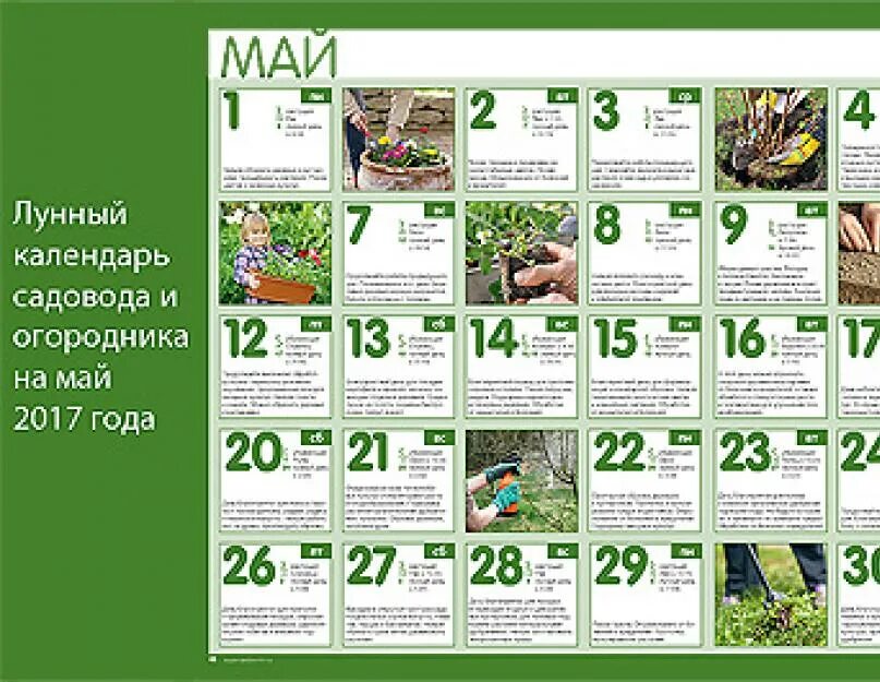 6 мая лунный календарь. Посадочные дни в мае. Благоприятные посадочные дни в мае. Лунный календарь посадок на май. Лунный посадочный календарь на май.