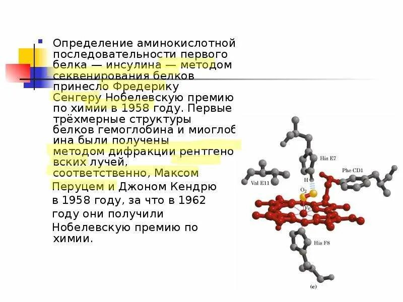 Способы определения аминокислотный состав белков. • Методы определения структуры белков. Методы определения последовательности аминокислот в белке. Определение структуры белка. Первые белковые