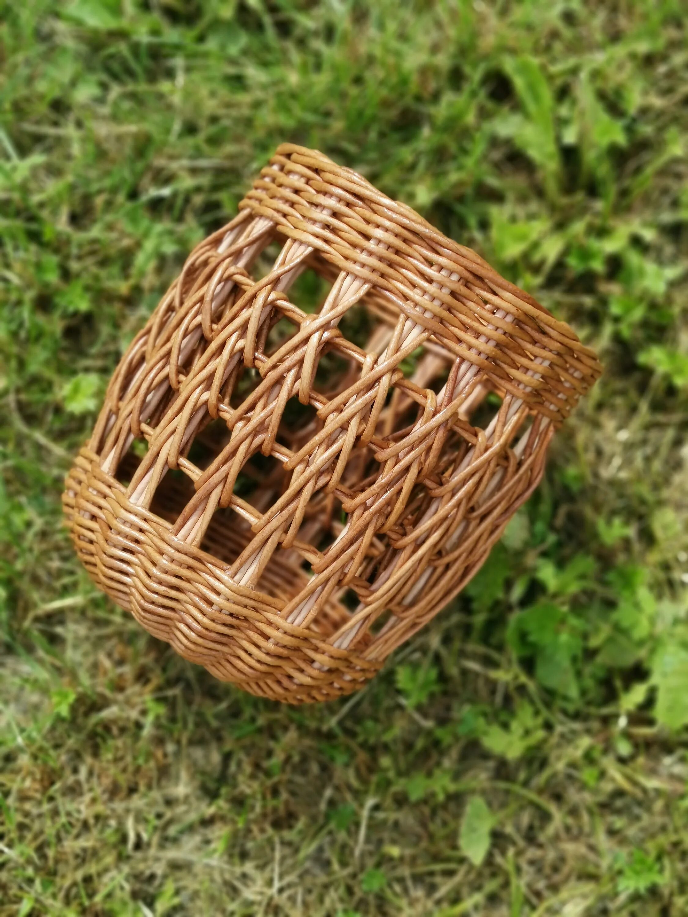 Лозоплетение заготовка лозы. Инструменты для лозоплетения. Ивовый прут. Wicker basket корзина из ивовых прутьев. Шиловское лозоплетение.