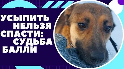 Нельзя спасти