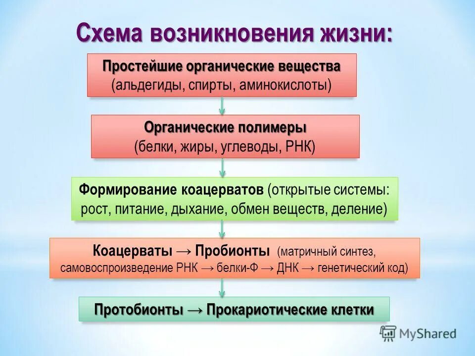 Образование коацерватов появление прокариотических