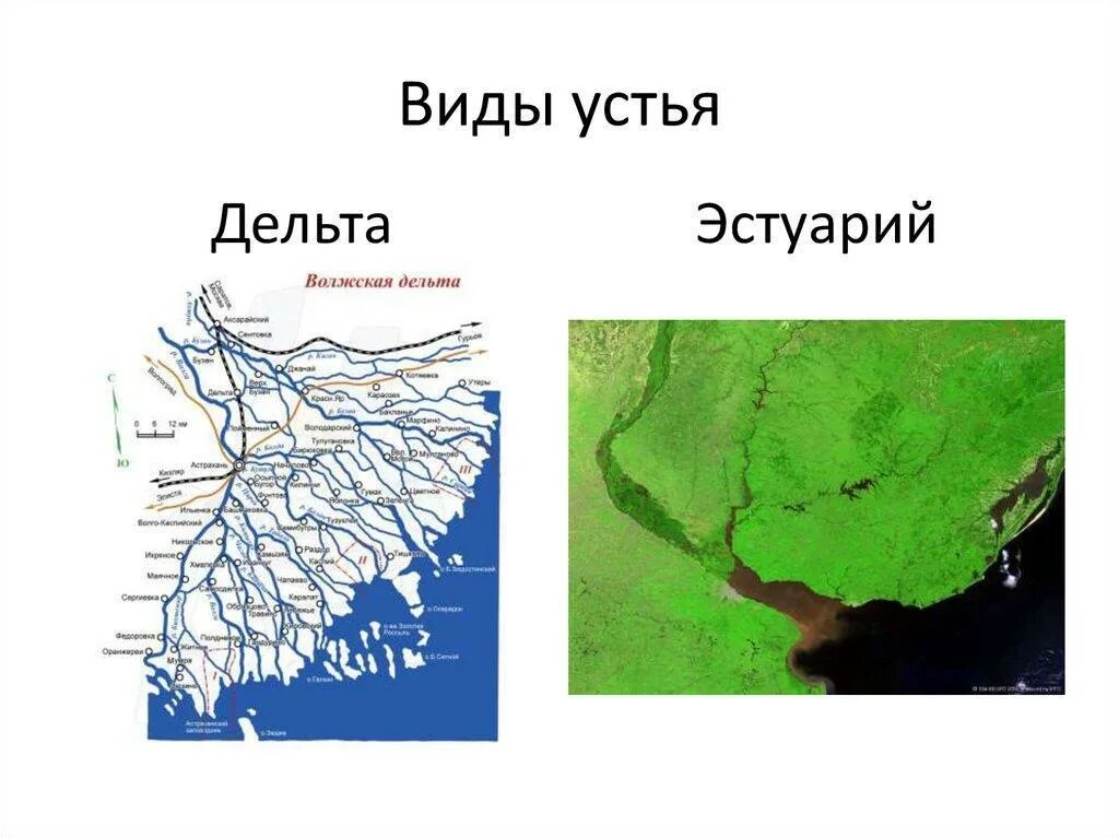 Что такое устье реки. Типы устья рек. Типы эстуариев. Тип устья эстуарий. Тип устья Дельта и эстуарий.