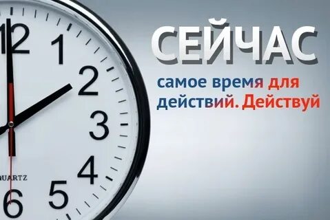 В каком году начала действовать