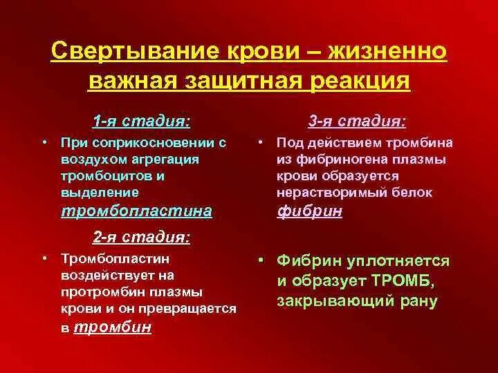 Изменение свертывания крови. Фазы свертывания крови кратко. 1 Фаза свертывания крови. 3 Фазы свертывания крови кратко. Три этапа процесса свертывания крови.