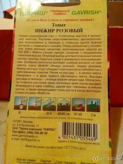 Томаты инжир описание сорта фото отзывы