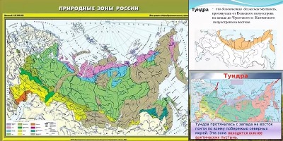 карта природных зон россии тундра