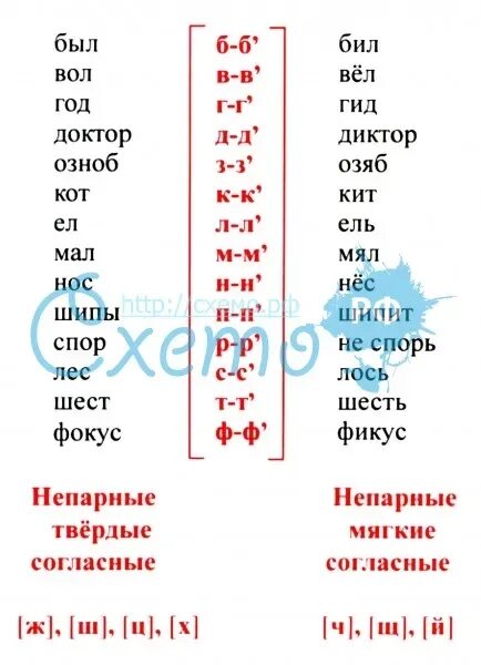 В слове елка есть согласный мягкий звук. Слова с мягкими согласными звуками. Игрушки на елку с мягкого согласного. Названия игрушек на мягкий согласный. Елочные игрушки названия на мягкий согласный.