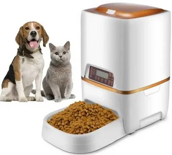 Pet варианты
