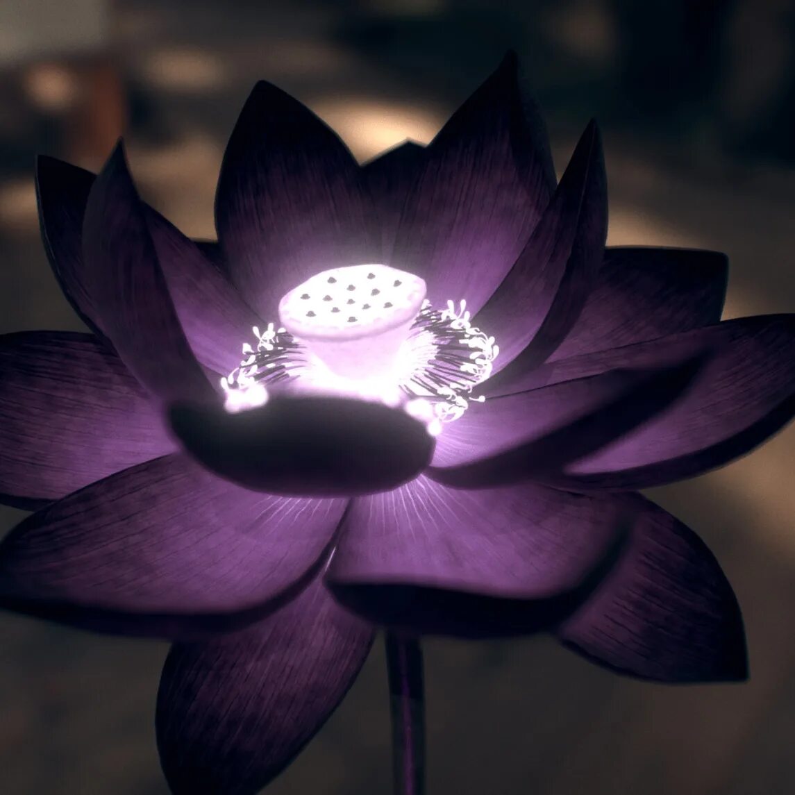 Черный лотос цветок. Цветы фэнтези. Black lotus (черный лотос). Черный лотус цветок. Черный лотос цветок.