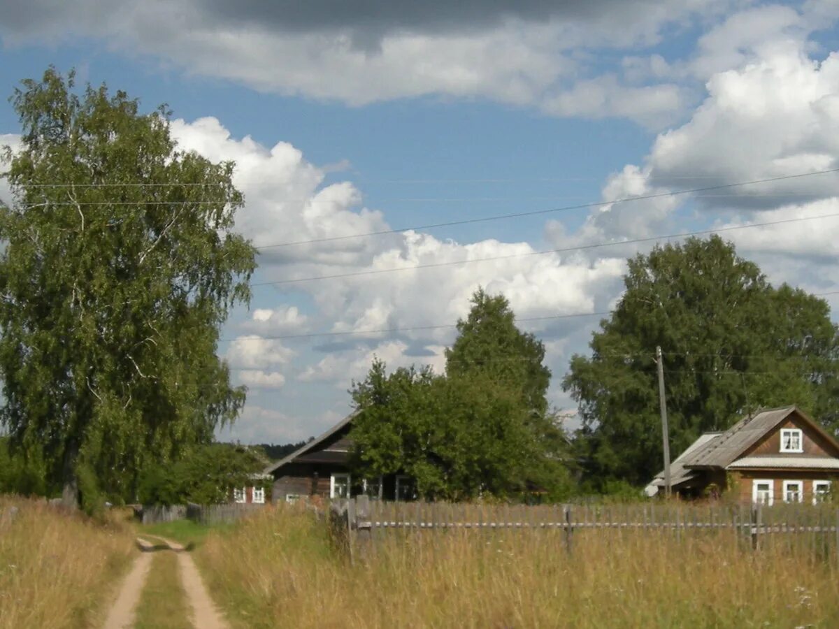 «поле васильков». деревня васильки тверская область. деревня васильки. киев деревня васильки. мяммино лихославльский район.