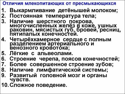 Чем отличается размножение плацентарных млекопитающих от пресмыкающихся