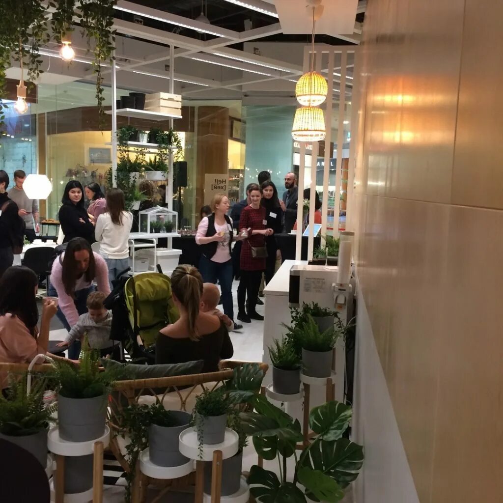 Икеа парнас парнас. Магазин ikea в санкт-петербурге. Завод икеа. Когда откроется икеа в спб. Икеа магазин.