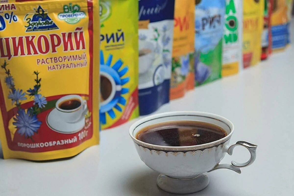 Цикорий пить утром можно. Цикорий. цикорий напиток. цикорий растворимый. цикорий кофе.