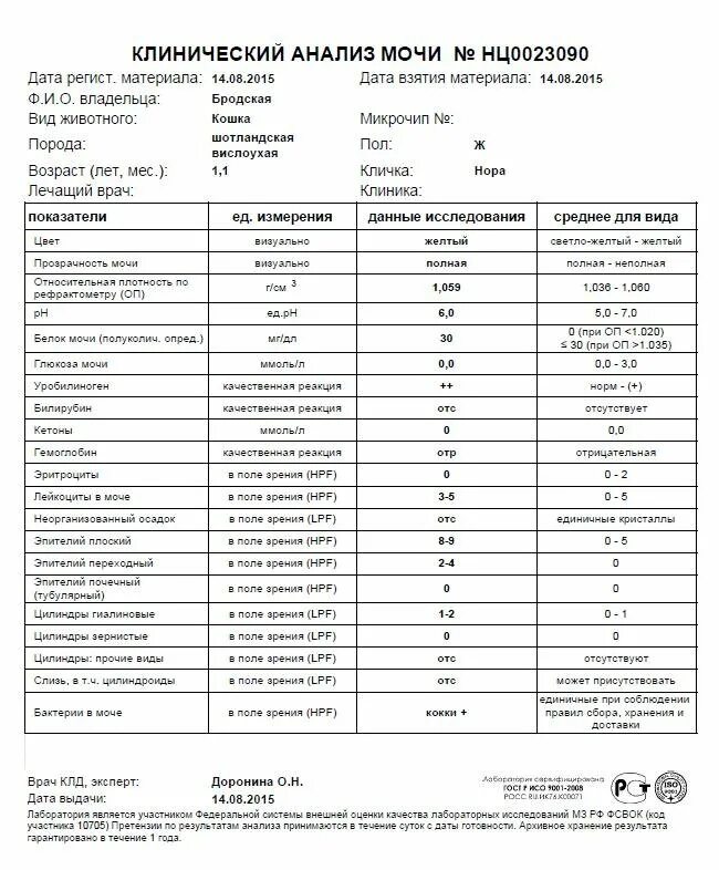 Слизь в умеренном количестве