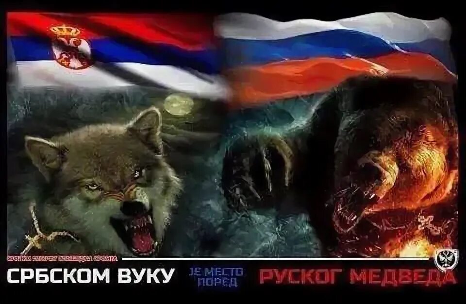 Русский медведь и волк. Волк с российским флагом. Флаг России с волком. Медведь Россия. Медведь на фоне российского флага.