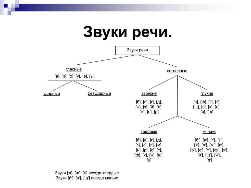 Звуки речи конспект урока 1 класс. Фонетика классификация звуков. Звуки речи делятся на гласные и согласные в русском языке. Классификация звуков речи гласные. Звуки речи (гласные и согласные), их характеристика..