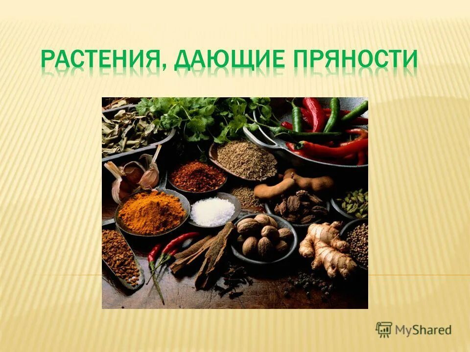 Растения, дающие пряности.