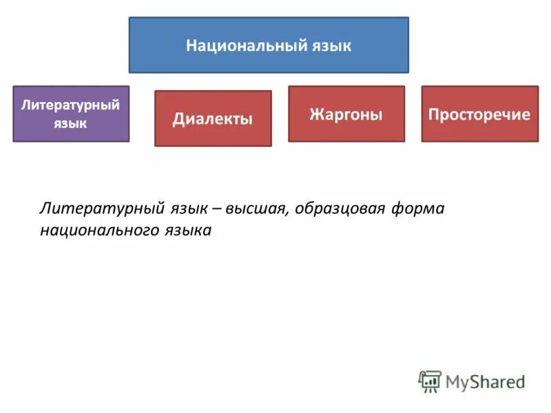 колебания языковых норм. образцовая форма национального языка. понятие, признаки, формы литературного языка. языки с самым богатой лексикой. некодифицированные формы национального языка.