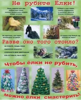 Листовка не руби елки