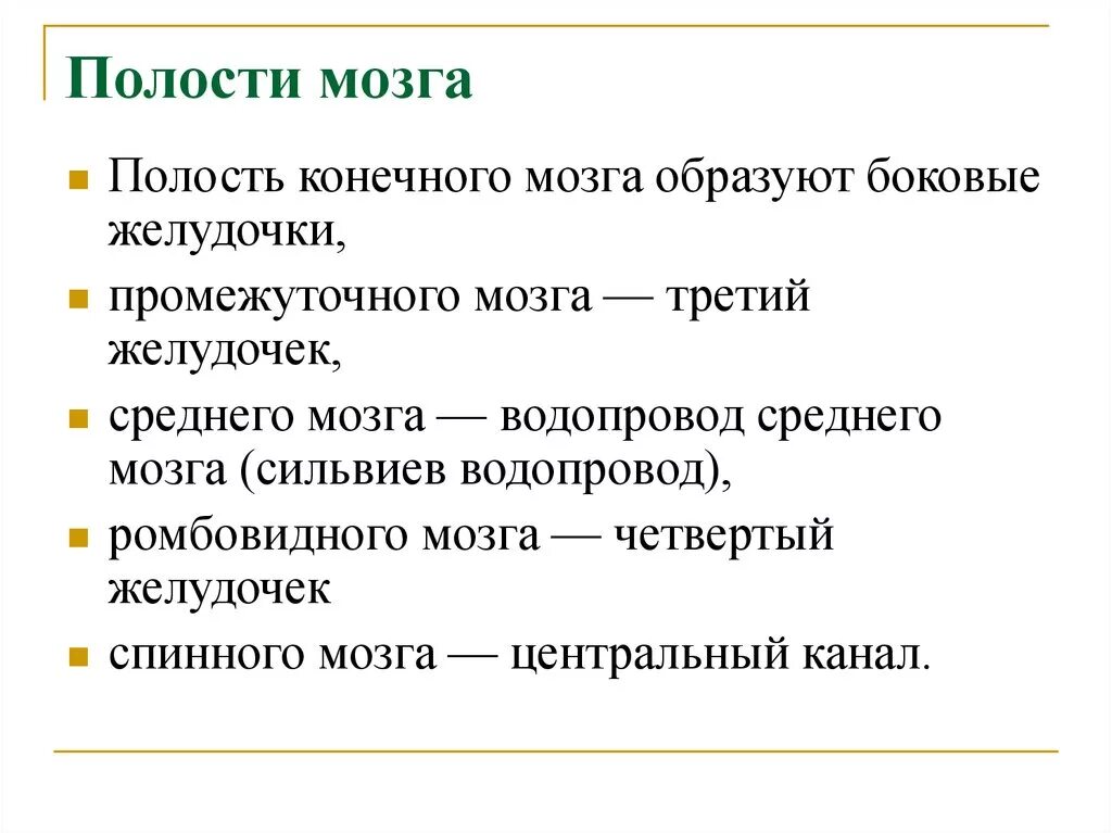 Полости мозга заполнены. Полости конечного мозга. Посолти головного мозга. Полостью конечного мозга является. Остаточные полости головного мозга.