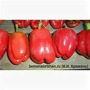 Перец сорта толстопуз. Сорт перца янтарный бык. Семена алтая перец сладкий толстопуз. Семена алтая перец сладкий толстопуз. Перец сладкий золотой лапоть 0,1г седек (ц.