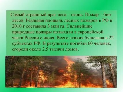 Враг леса