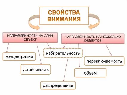 Внимание относится к способностям