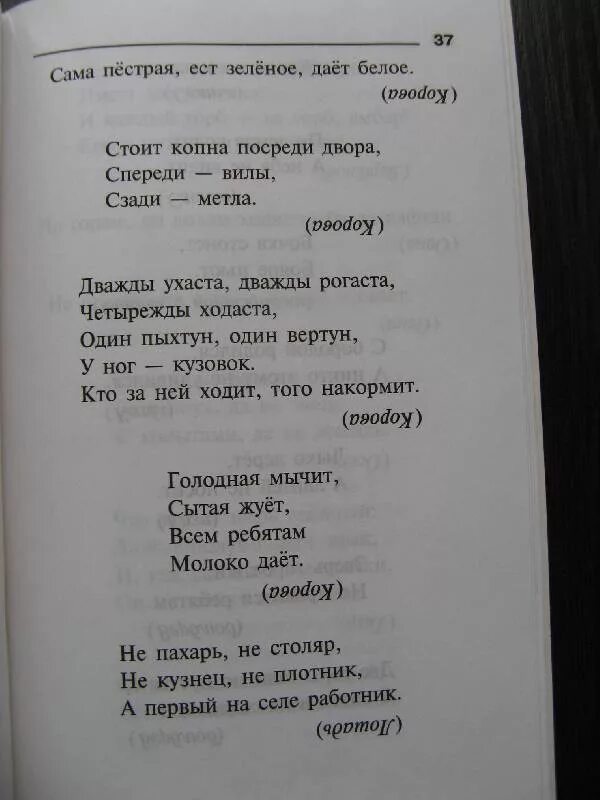 Сама пестр. Н Иванова школьные загадки. Книга н Иванова школьные загадки. Иванов загадка. Иванова школьные загадки про растения.