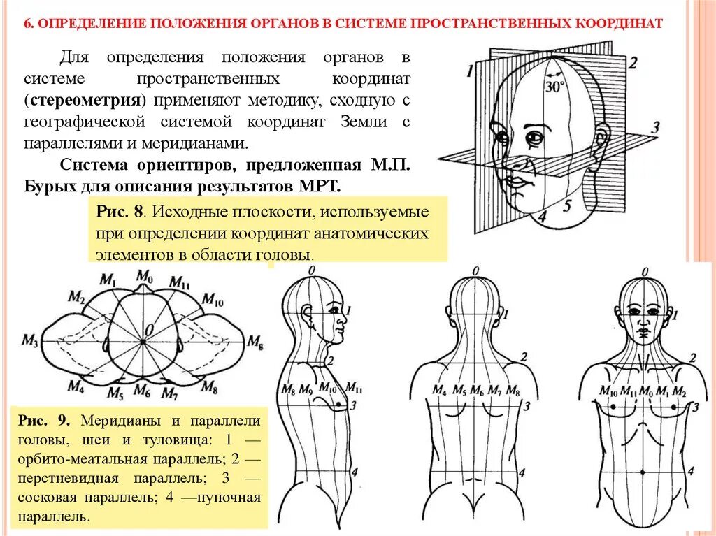 Как определить положение человека. Методы исследования применяемые в топографической анатомии. Предмет и задачи топографической анатомии. Задачи топографической анатомии. Анатомические координаты.