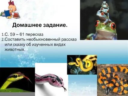 Рассказ о необыкновенном
