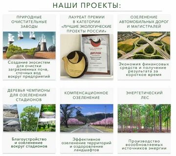 Экологическая проектная документация