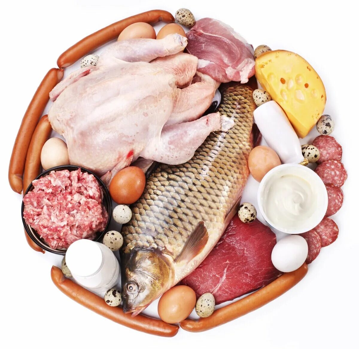 Мясо рыба молоко. Мясо рыба молоко яйца. Мясо рыба птица. Рыба белковый продукт. Мясо и рыба.