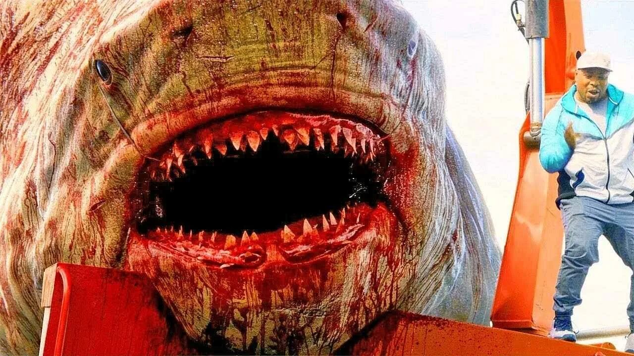 Нападение 5 букв. МЕГАЛОДОН 2018. Самая большая акула МЕГАЛОДОН. Мег монстр глубины МЕГАЛОДОН.
