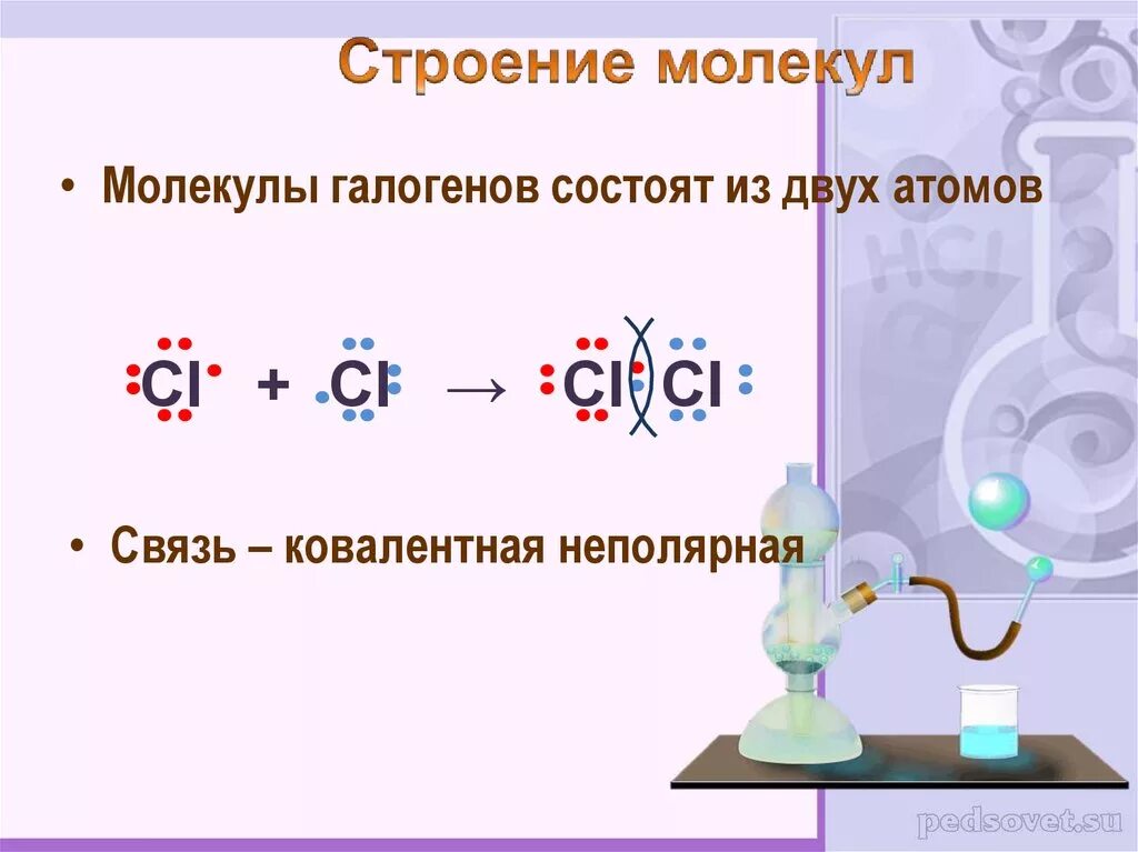 Строение молекул галогенов. Строение галогенов. Формулы молекул галогенов. Схема образования молекулы галогенов. Связь в молекулах галогенов