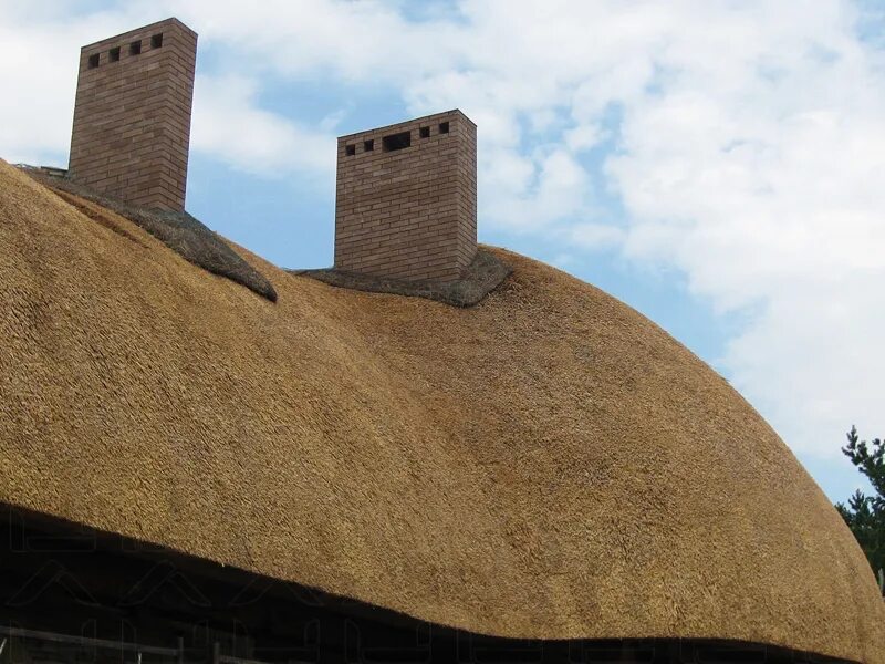 Камышовая кровля купол. Тростниковая крыша. Бани с Камышовой крышей. Камышовые крыши в Голландии. Полный месяц светил на камышовую крышу
