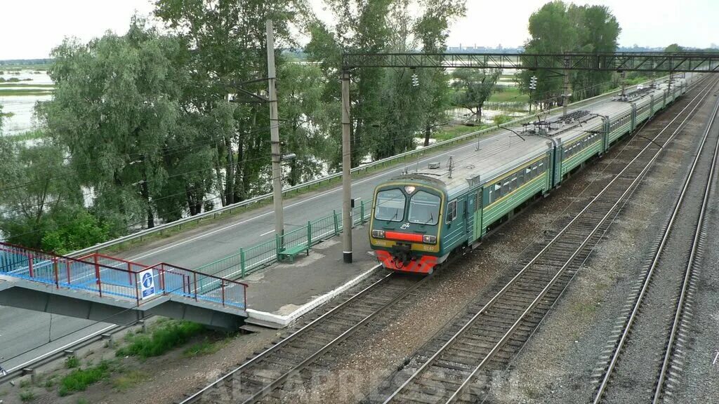 Алтайская железная дорога. Электропоезд Черепаново Барнаул. Барнаул Черепаново электричка. Барнаульская электричка Черепаново Барнаул. Скорый электропоезд Барнаул-Черепаново-Новосибирск.