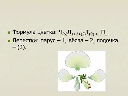 142 ч 5