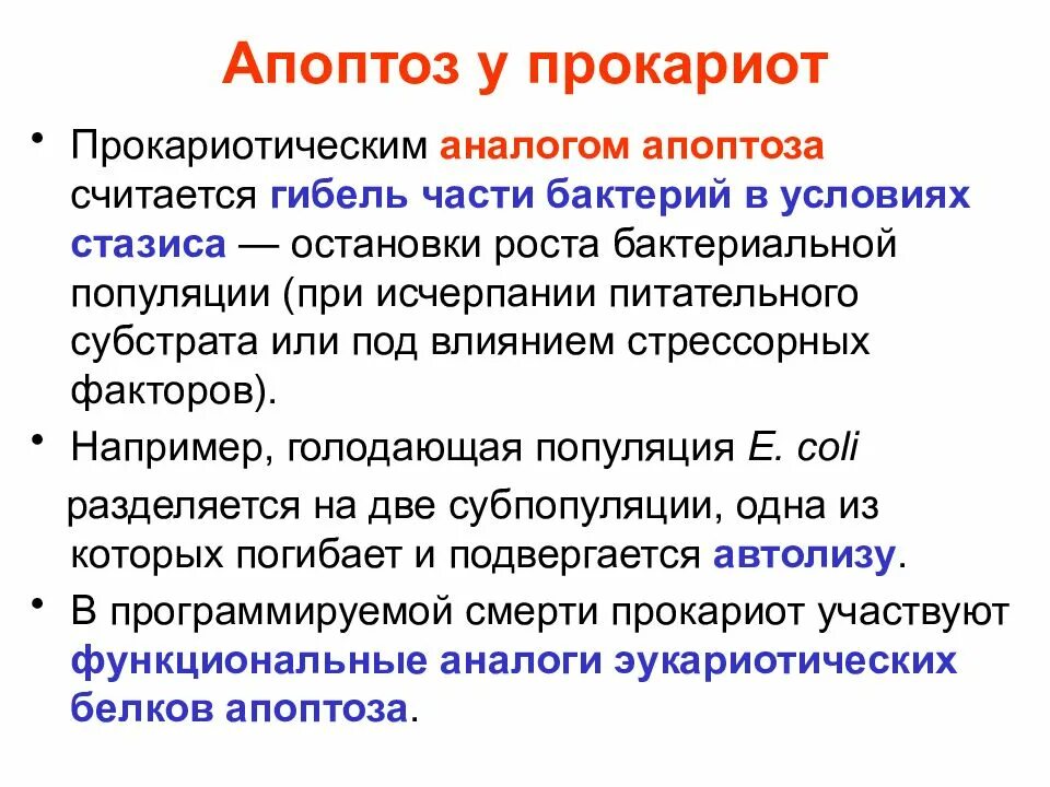 Апоптоз. Апоптоз у прокариот. Апоптоз это в биологии. Апоптоз бактерий.