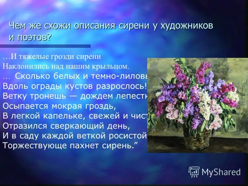 Картина п кончаловского сирень в окне сочинение. П.П. Кончаловский «сирень в корзине» (1933 г.). ПЭ Кончаловский сирень.