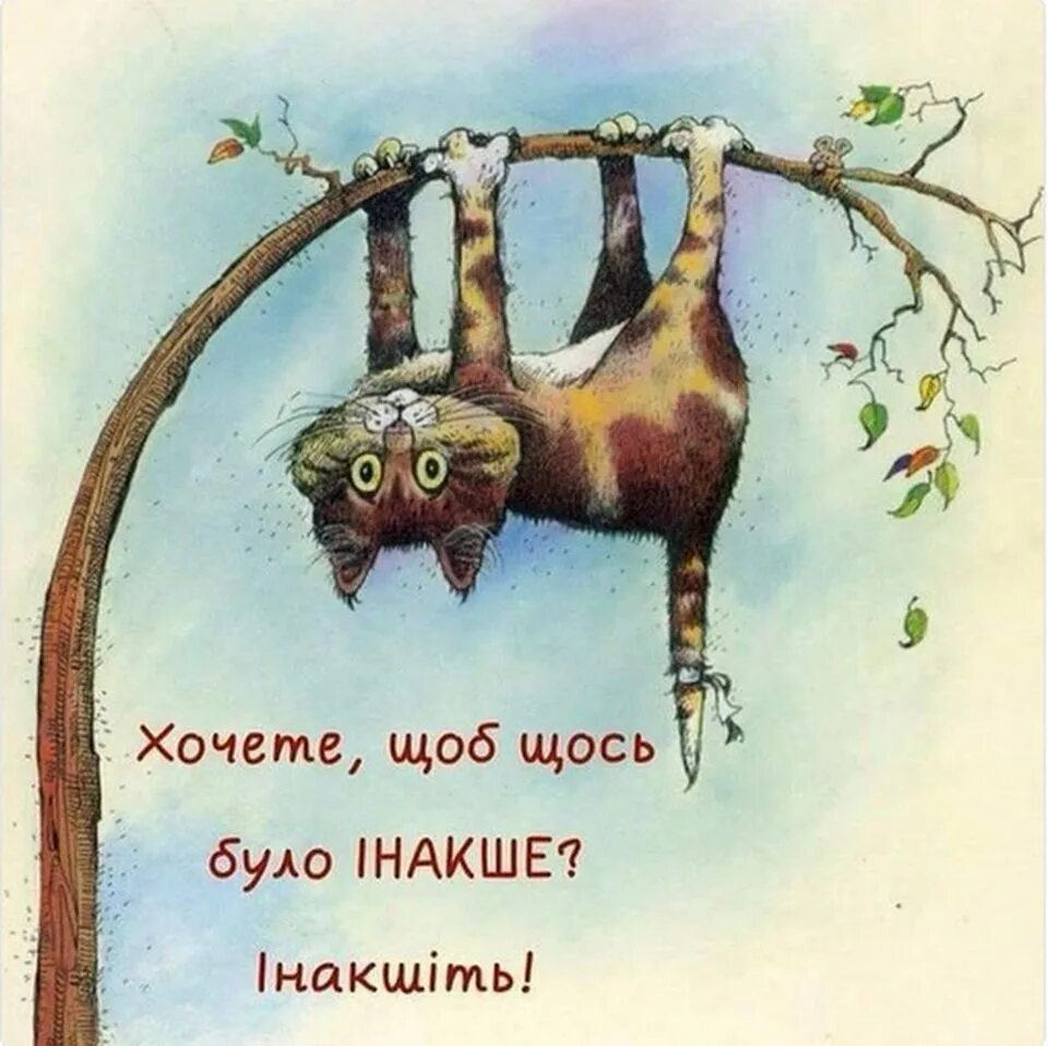 Держусь давай дальше. Прикольные рисунки. Открытка держись. Открытки держись дружище. Котики вниз головой.